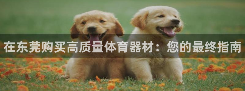 富联平台可以 5O6917：在东莞购买高质量体育器材