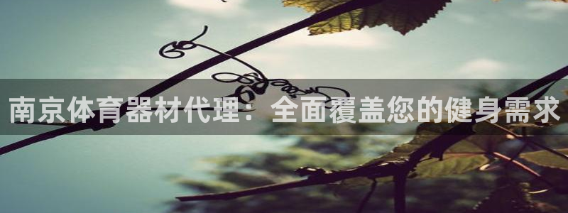 富联娱乐股东结构：南京体育器材代理：全面覆盖您的健身