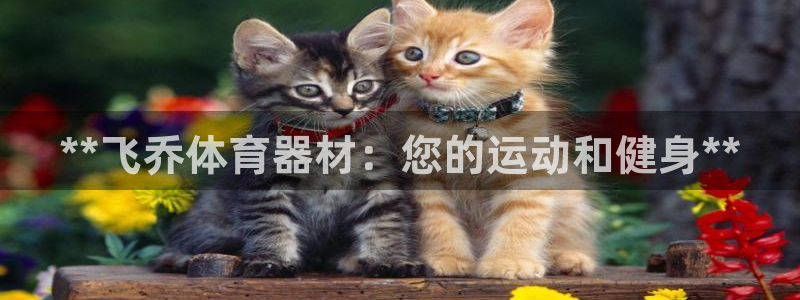 富联平台合 58534I 平台：**飞乔体育器材：您的运动和