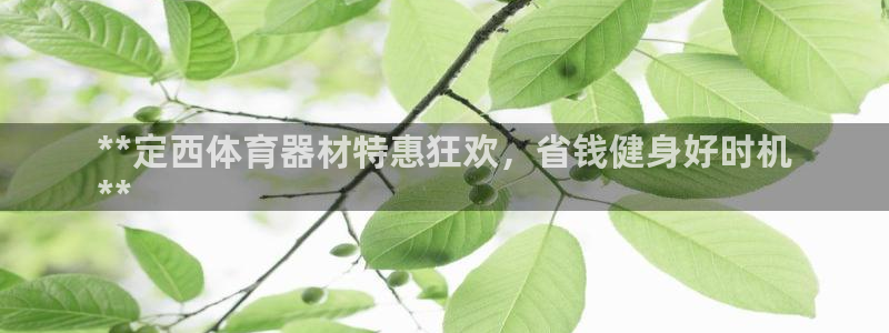富联申购什么时间上市：**定西体育器材特惠狂欢，省钱健身好时