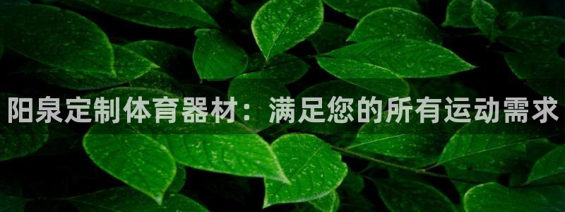 富联平台登录网址是多少：阳泉定制体育器材：满足您的所有运动需