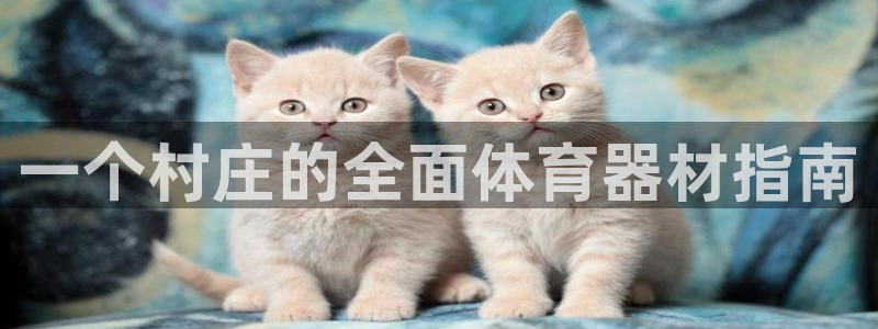 富联科技上市了吗知乎：一个村庄的全面体育器材指南