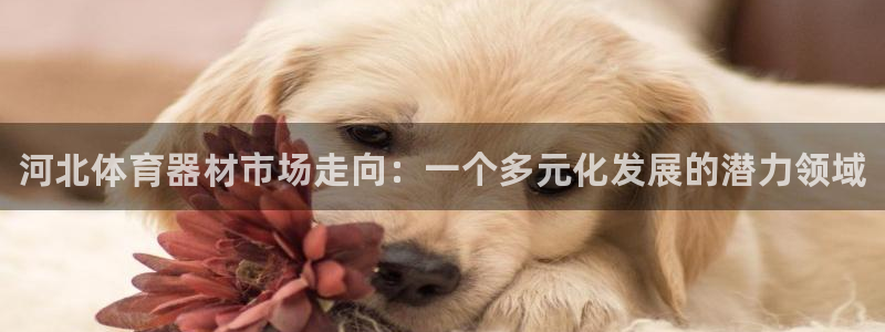 富联官方网站入口下载手机版