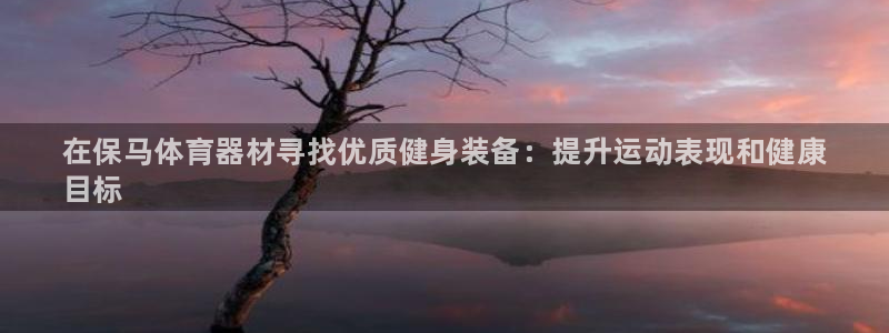 富联集团做什么的：在保马体育器材寻找优质健身装备：提升运动表