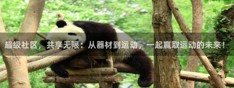 富联劳务