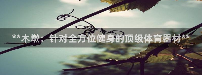 富联娱乐代理怎么做的：**木墩：针对全方位健身的顶级体育器材