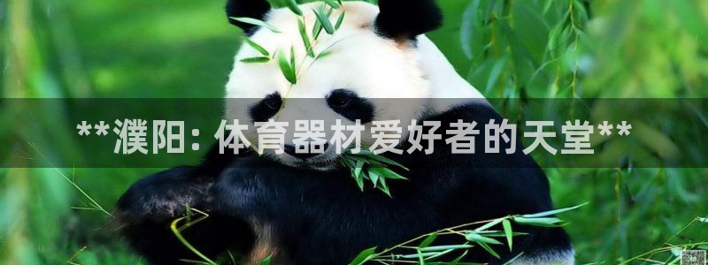 富联官方网站入口查询电话：**濮阳: 体育器材爱好者的天堂*