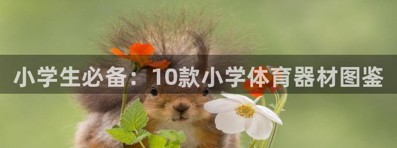 富联娱乐木 411O31 娱乐