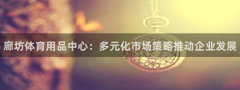 富联食品：廊坊体育用品中心：多元化市场策略推动企业发
