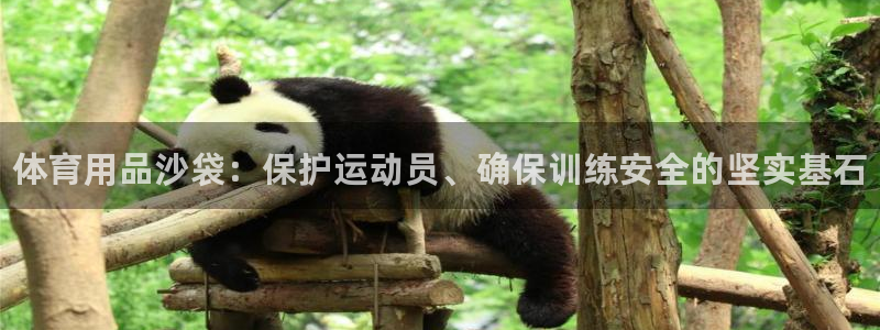 富联娱乐平台开户流程图：体育用品沙袋：保护运动员、确保训练安