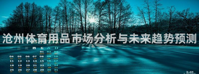 富联娱乐服务站地址：沧州体育用品市场分析与未来趋势预