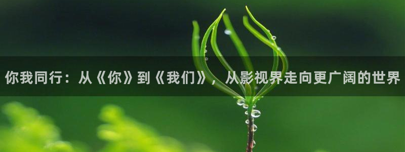 熊猫电视报价：你我同行：从《你》到《我们》，从影视界走向更广阔的世界