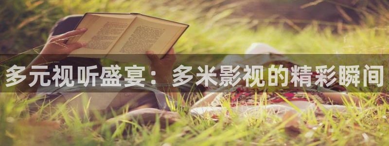 熊猫vcd：多元视听盛宴：多米影视的精彩瞬间